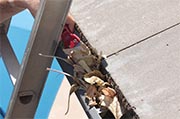 Remove debris from gutters and downspouts Photo